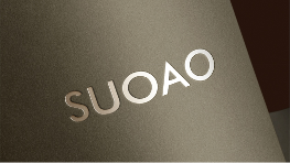 创新设计引领家居美学,全链条服务打造品质生活(图1) 门业品牌所奥:匠心雕琢,开启家居美学新境界