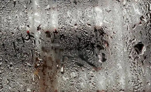 南方潮湿天救命指南!5种防潮门窗选购避坑，不用再担心墙皮发霉